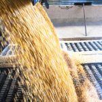 粉体流动控制存在的问题及解决办法