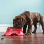 液口腔中的应用方法