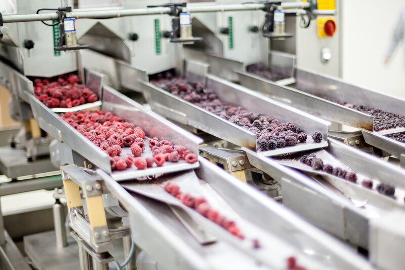 frozen raspberry processing business